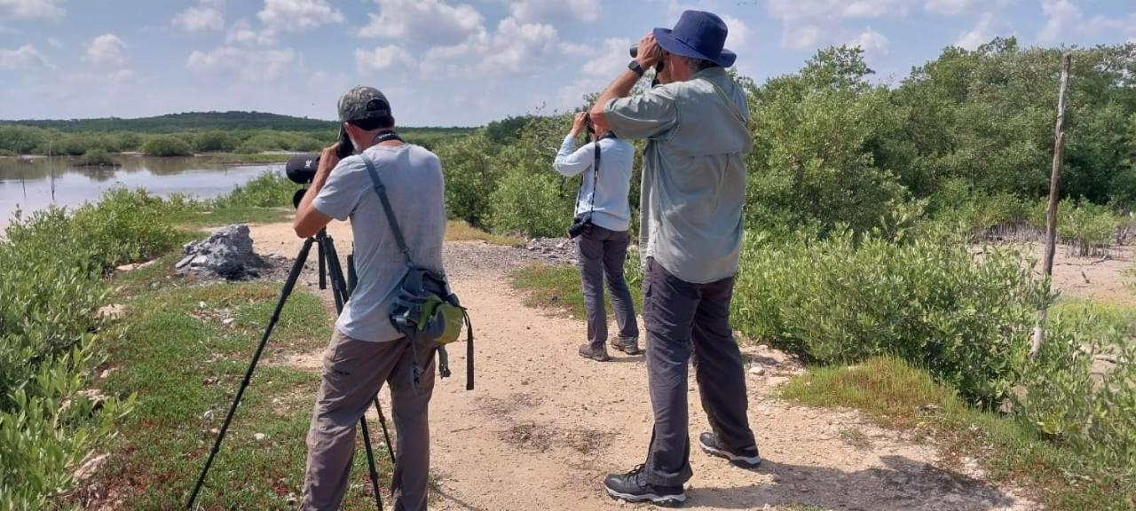 Casa Jade Ecobungalows Las Coloradas Yuluc Zewnętrze zdjęcie